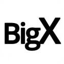 BigX