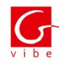 Gvibe